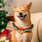 Christmas Santa Claus Buffes de punto de punto para mascota y propietario