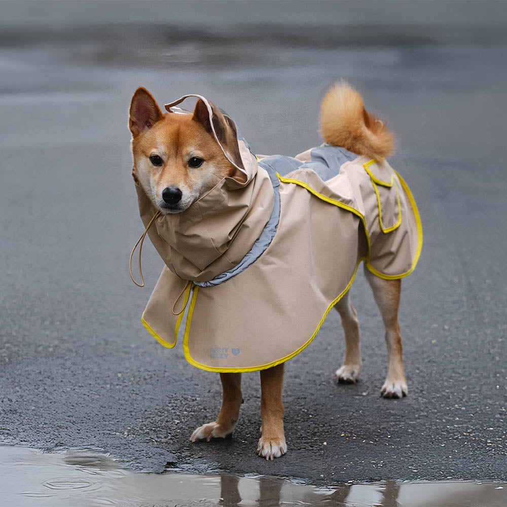 Imperméable réfléchissant réglable avec poche pour chien, imperméable assorti pour rester au sec