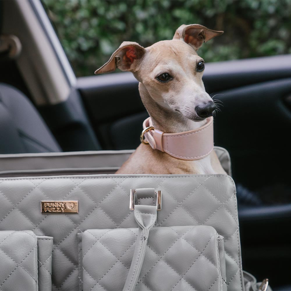 Borsa per animali da viaggio condivisa, grande, elegante, multifunzionale, per cani umani e cani - Coda errante