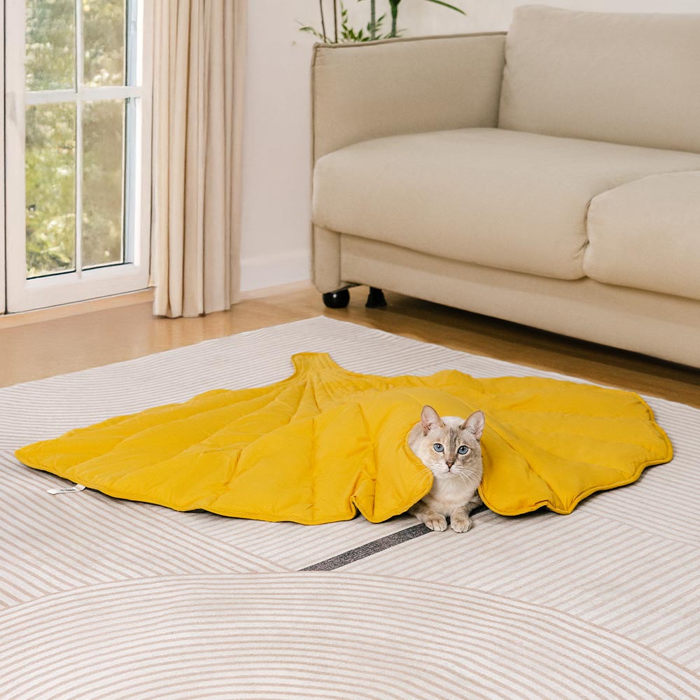 Coperture per mobili lavabili tutto l'anno, coperte per gatti.