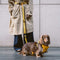 A doppio lato riflettente rettificabile versatile a manico morbido in nylon guinzagli per cani - Flexi Walker