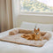 Coperchio di divano del tappetino per cani coperta di divano divano soffice