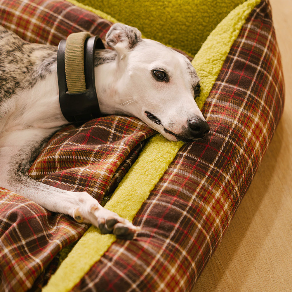 Coperte Piega Vintage Tartano Lavabili di Grande Dimensione per Cani - Avocuddle