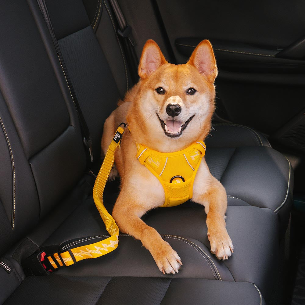 Buffer ajustable Cool Dog Accesorios cinturón de seguridad de coche