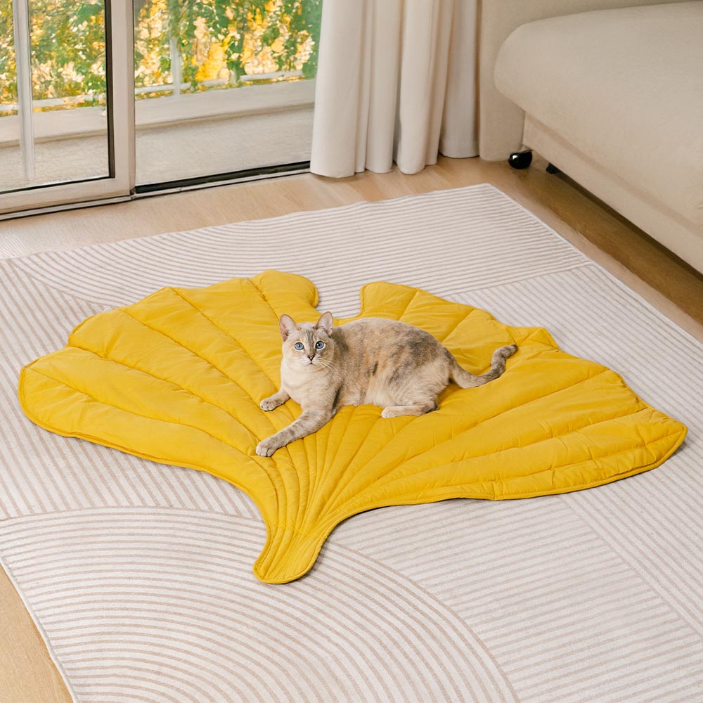 Coperture per mobili lavabili tutto l'anno, coperte per gatti.