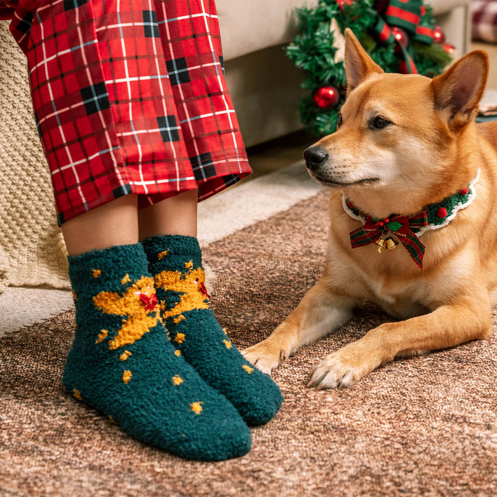 Calzini coordinati con sciarpa lavorata a maglia di Babbo Natale per animali domestici e proprietario