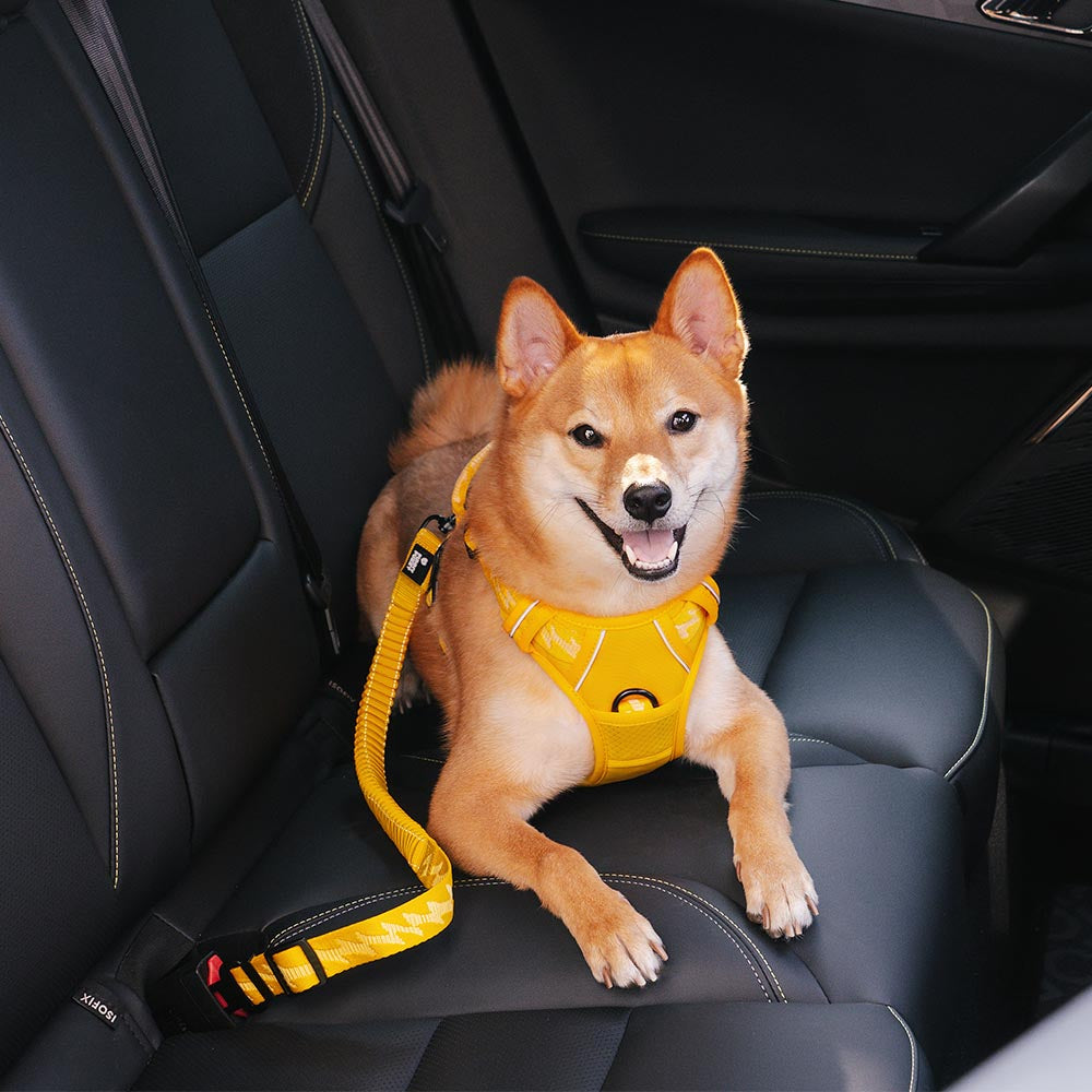 Cintura di sicurezza per auto con accessori per cani freddi regolabili