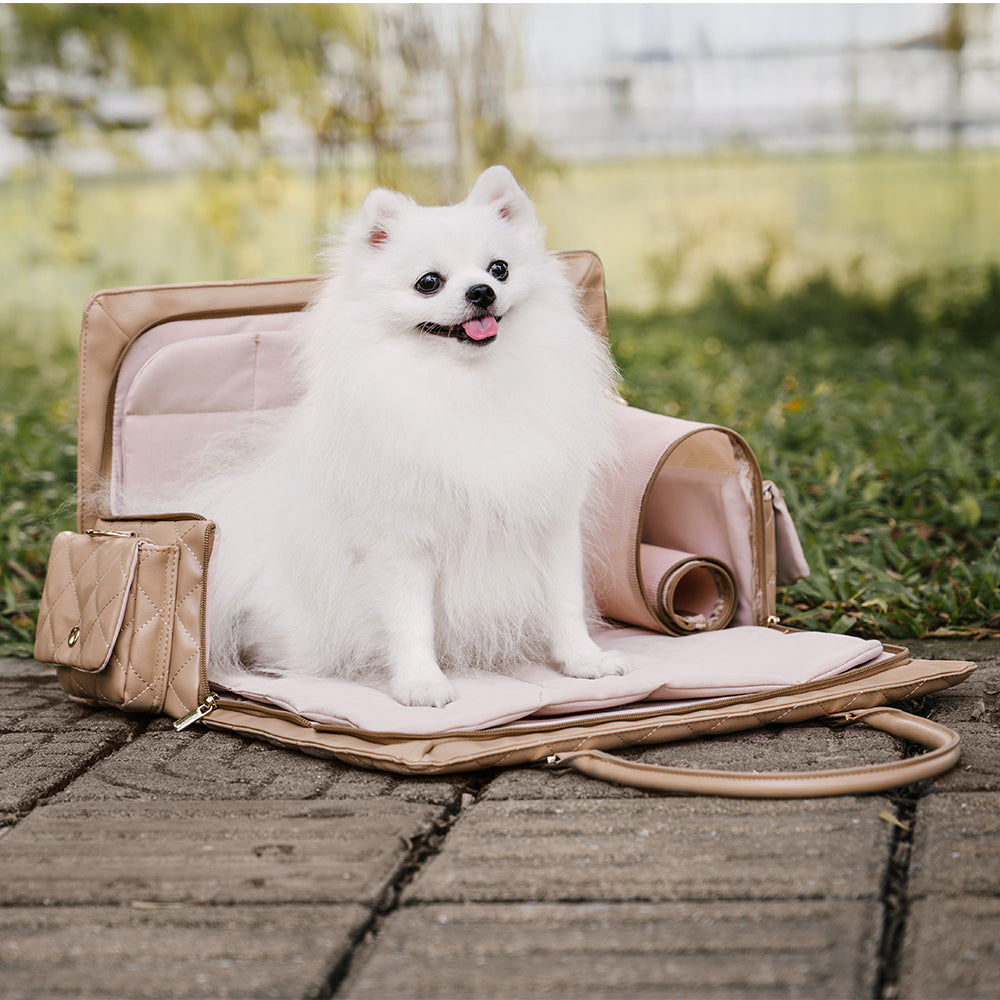 Borsa per animali da viaggio condivisa, grande, elegante, multifunzionale, per cani umani e cani - Coda errante