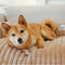 Coperchio di divano del tappetino per cani coperta di divano divano soffice