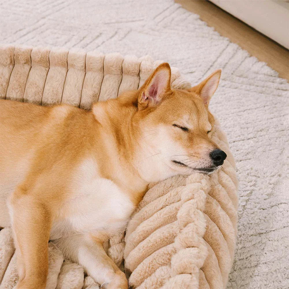 Cuscino ortopedico a cuneo rimovibile in peluche caldo per letto sofa per cani - CozySlope