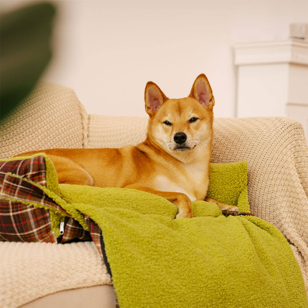 Coperte Piega Vintage Tartano Lavabili di Grande Dimensione per Cani - Avocuddle