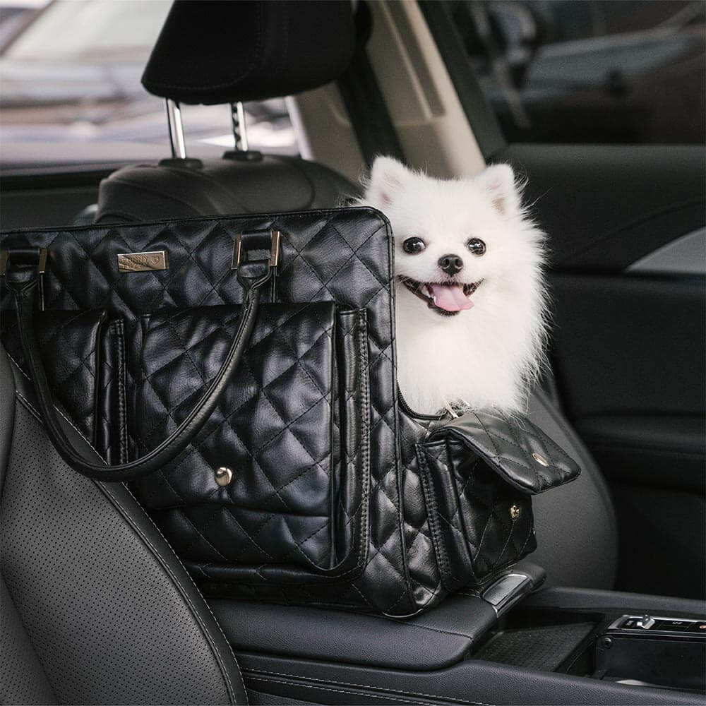 Borsa per animali da viaggio condivisa, grande, elegante, multifunzionale, per cani umani e cani - Coda errante