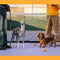 A doppio lato riflettente rettificabile versatile a manico morbido in nylon guinzagli per cani - Flexi Walker