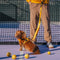 A doppio lato riflettente rettificabile versatile a manico morbido in nylon guinzagli per cani - Flexi Walker