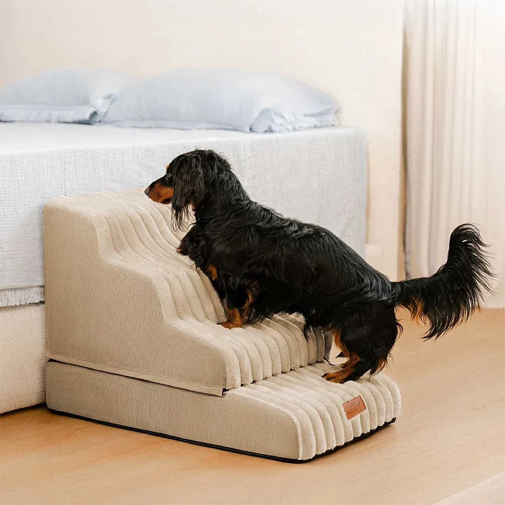 CreamyRamp Scala e Letto per Animali 2-in-1 in Morbido Plush Rimovibile