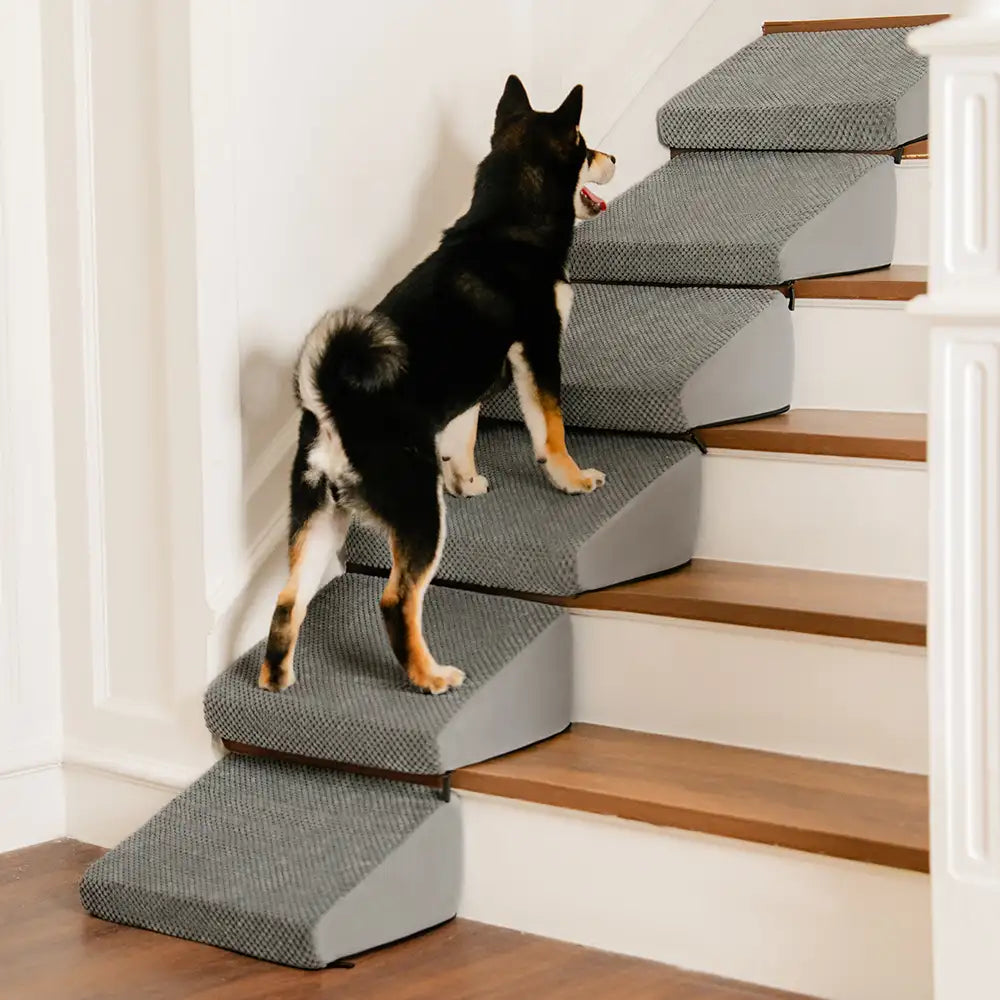 Rampe per cani in schiuma modulare con scalini per scale con velcro