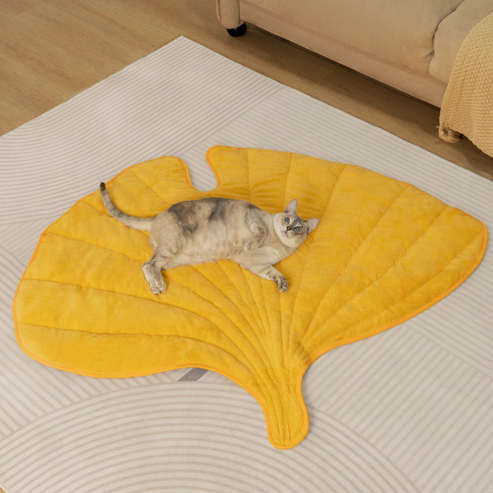 Coperte Calde e Morbide Antistress Lavabile per Gatti