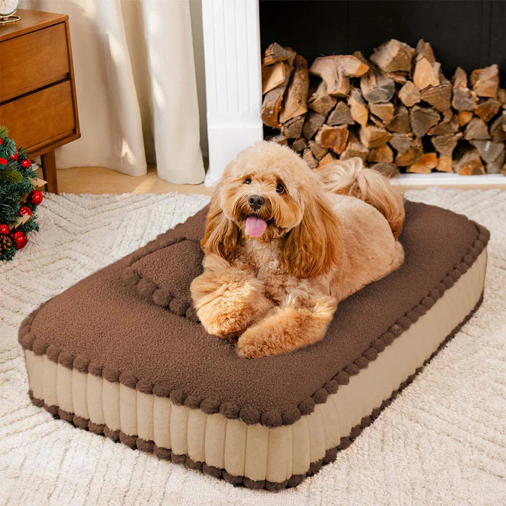 Letto ortopedico per cani ispirato ai biscotti in peluche confortevole con cuscino – SweetNap