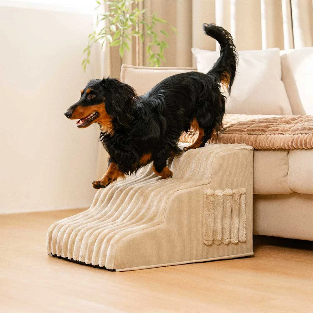 CreamyRamp Scala e Letto per Animali 2-in-1 in Morbido Plush Rimovibile
