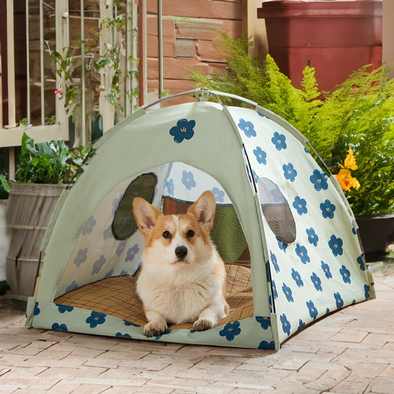 Lit de tente pour animaux de compagnie de tente de chat de dôme de fleur bleue