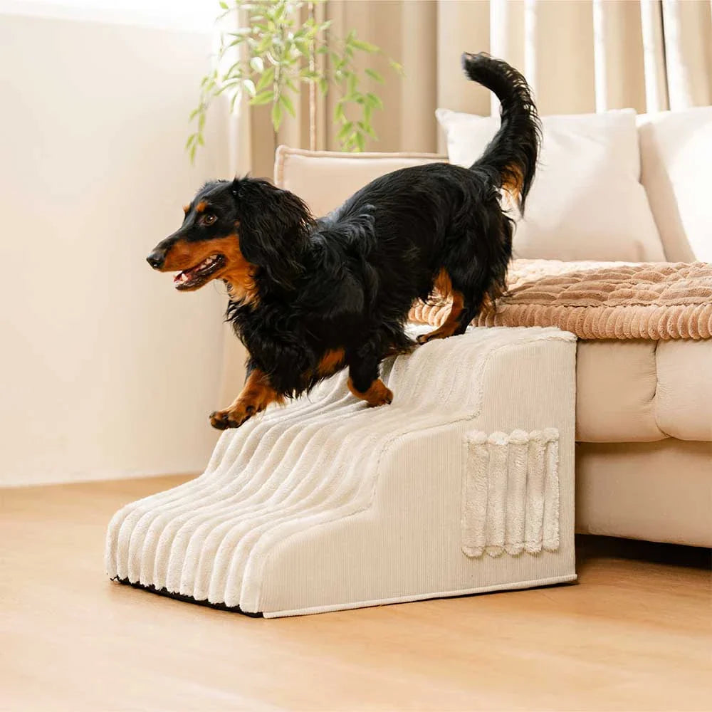 CreamyRamp Scala e Letto per Animali 2-in-1 in Morbido Plush Rimovibile