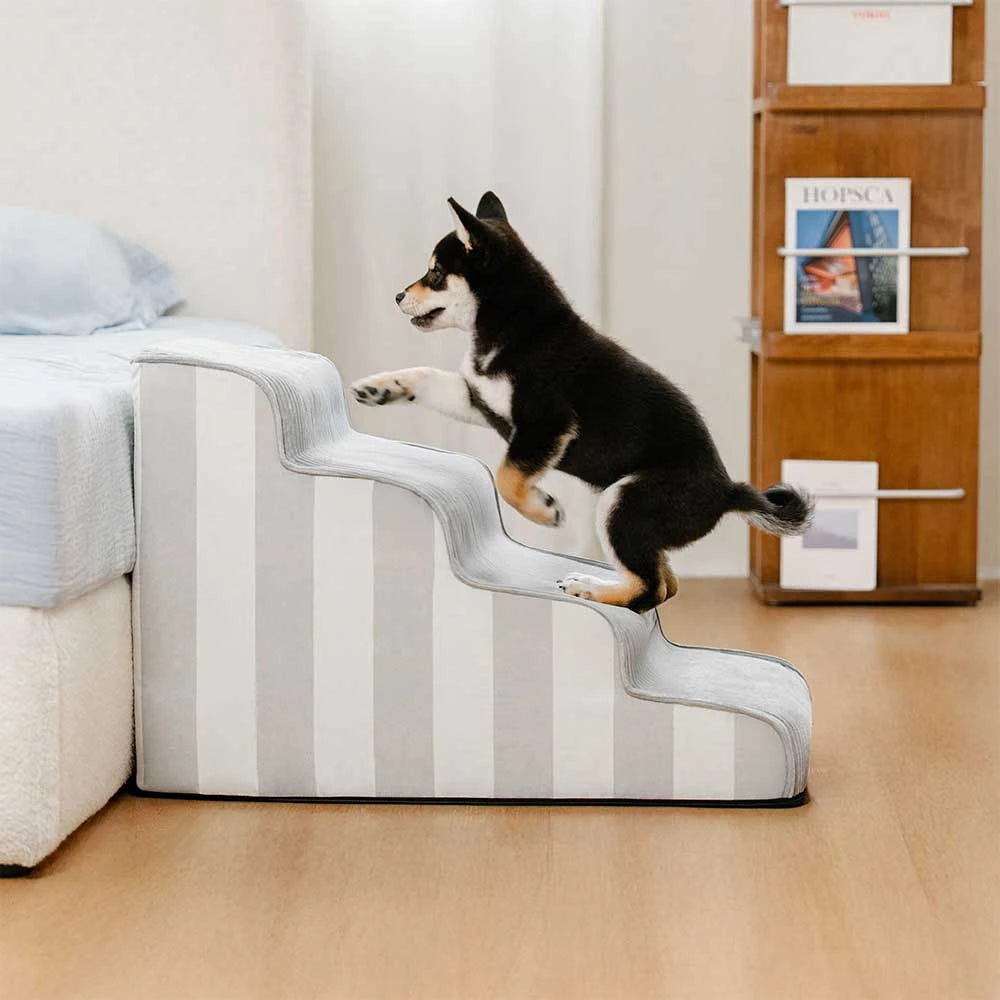 Scaletta per animali anti-scivolo rimovibile in spugna a righe - SafeStep