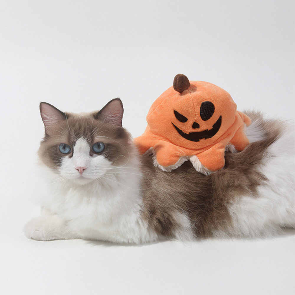 Giocattolo per cani in peluche reversibile con polpo di zucca pirata di Halloween