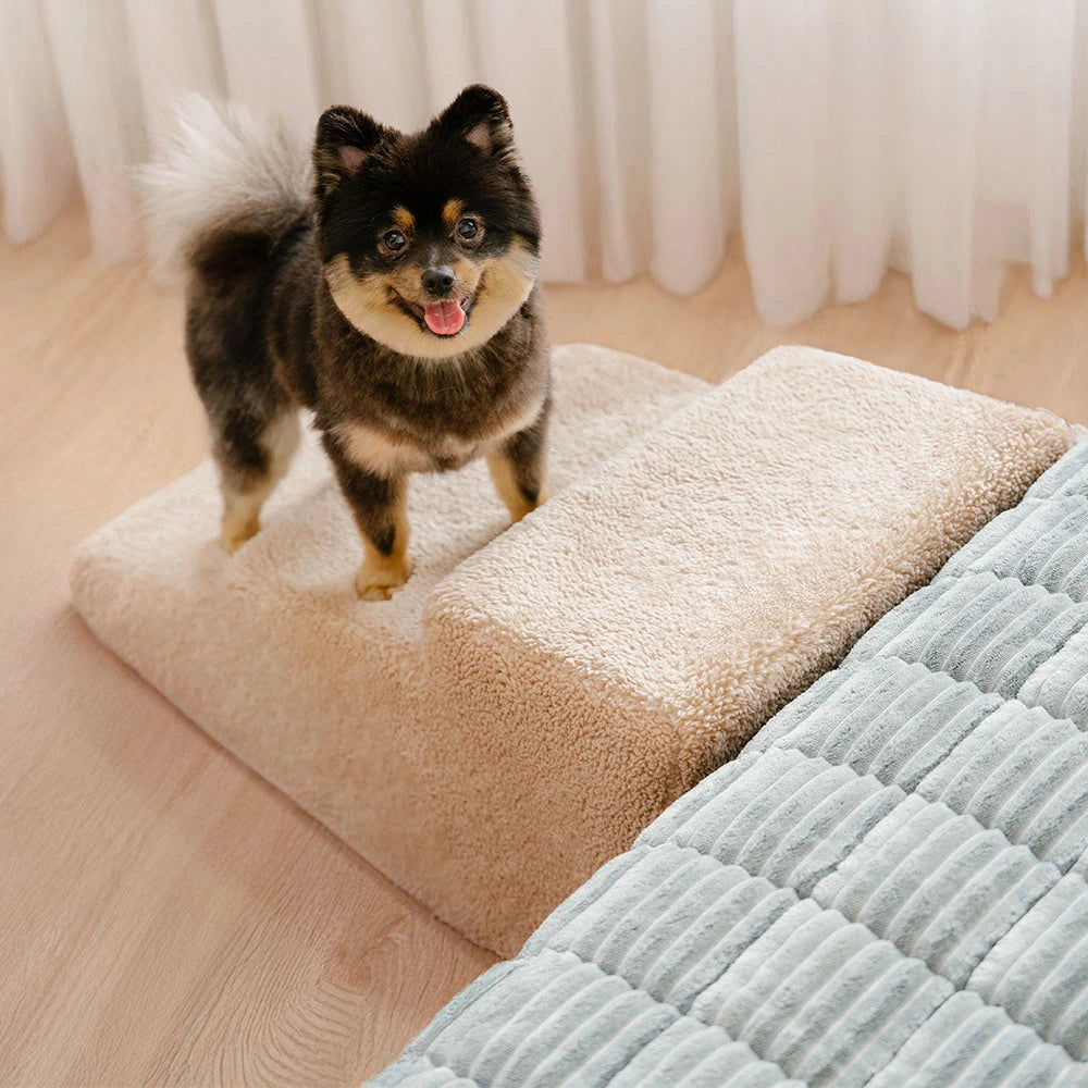 Rampa per cani morbida, scale per aiutare l'arrampicata per accedere al letto e al divano, protezione per le articolazioni.