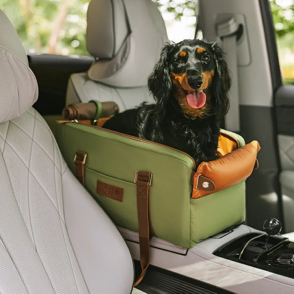 Seggiolino e trasportino per animali domestici in finta pelle di lusso con centro di sicurezza - Urban Voyager