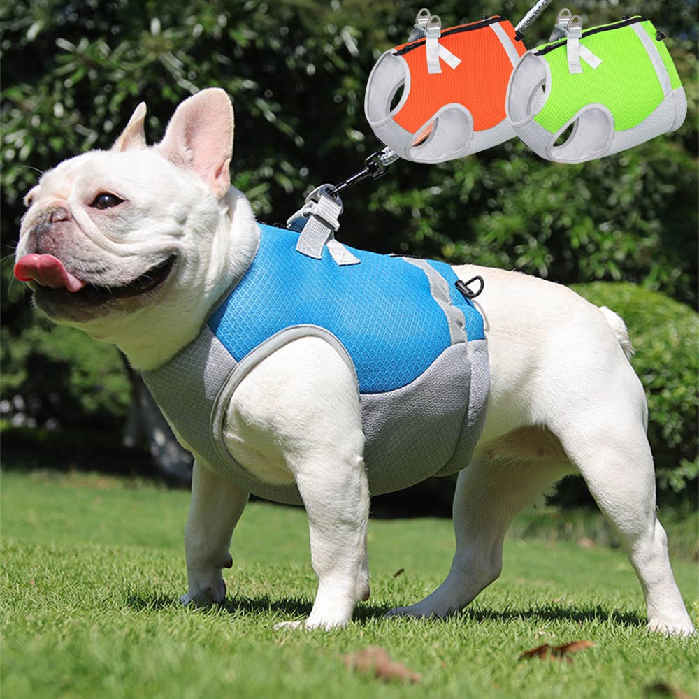 Gilet di raffreddamento traspirante per cani leggero e evaporativo