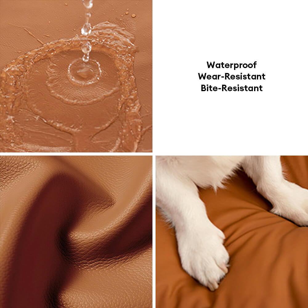 Divano letto per cani e gatti moderno, impermeabile e confortevole con schienale.