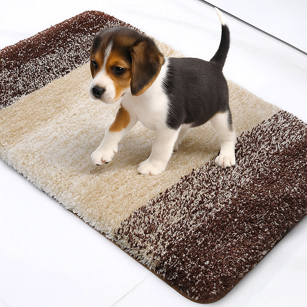 Tappeto per porte spesso, assorbente, antiscivolo e ad asciugatura rapida per animali domestici e zampe fangose