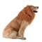 Costume per cani Mane Lion - Perfetto per Halloween e occasioni divertenti