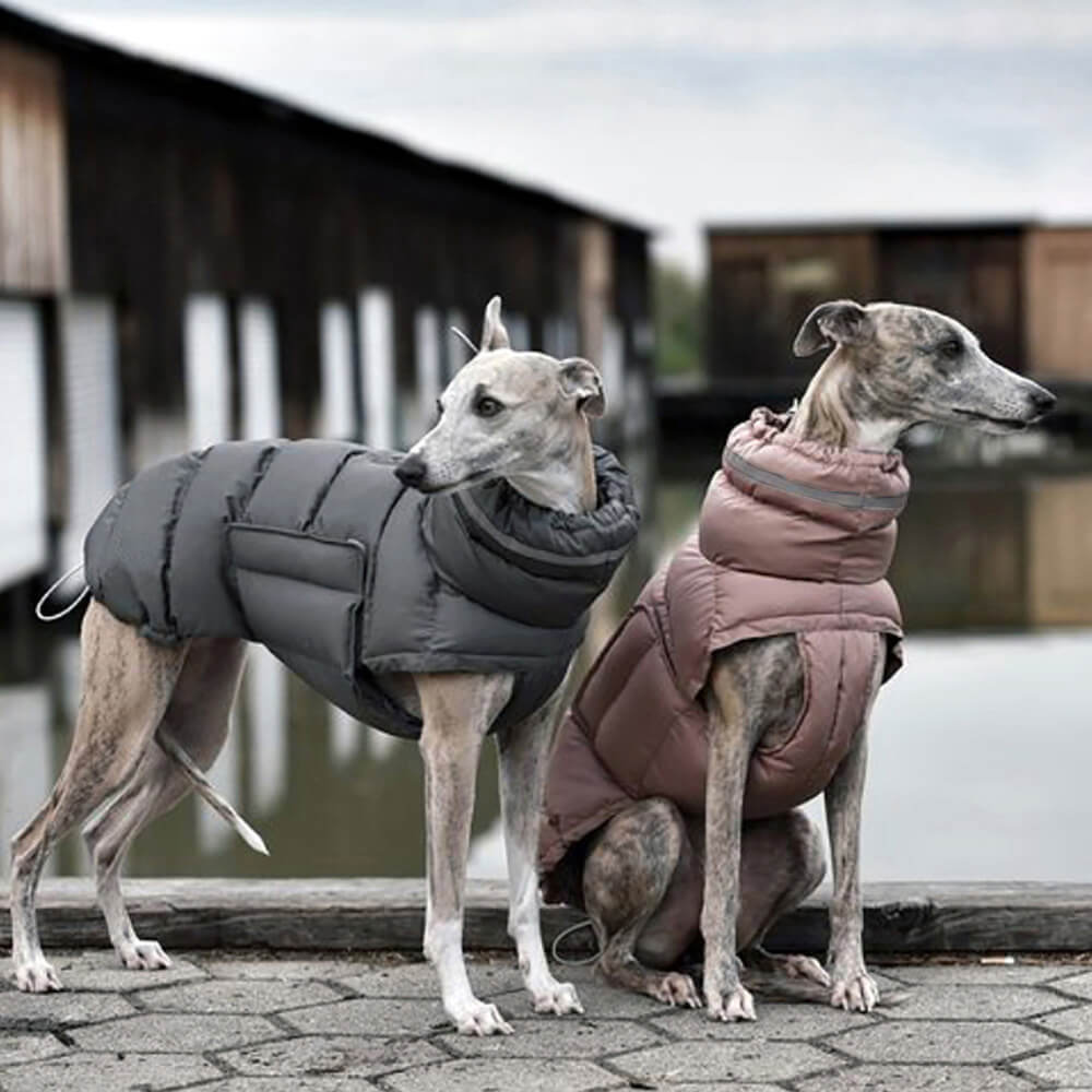 Gilet caldo impermeabile e antivento: il massimo del calore e dello stile invernali