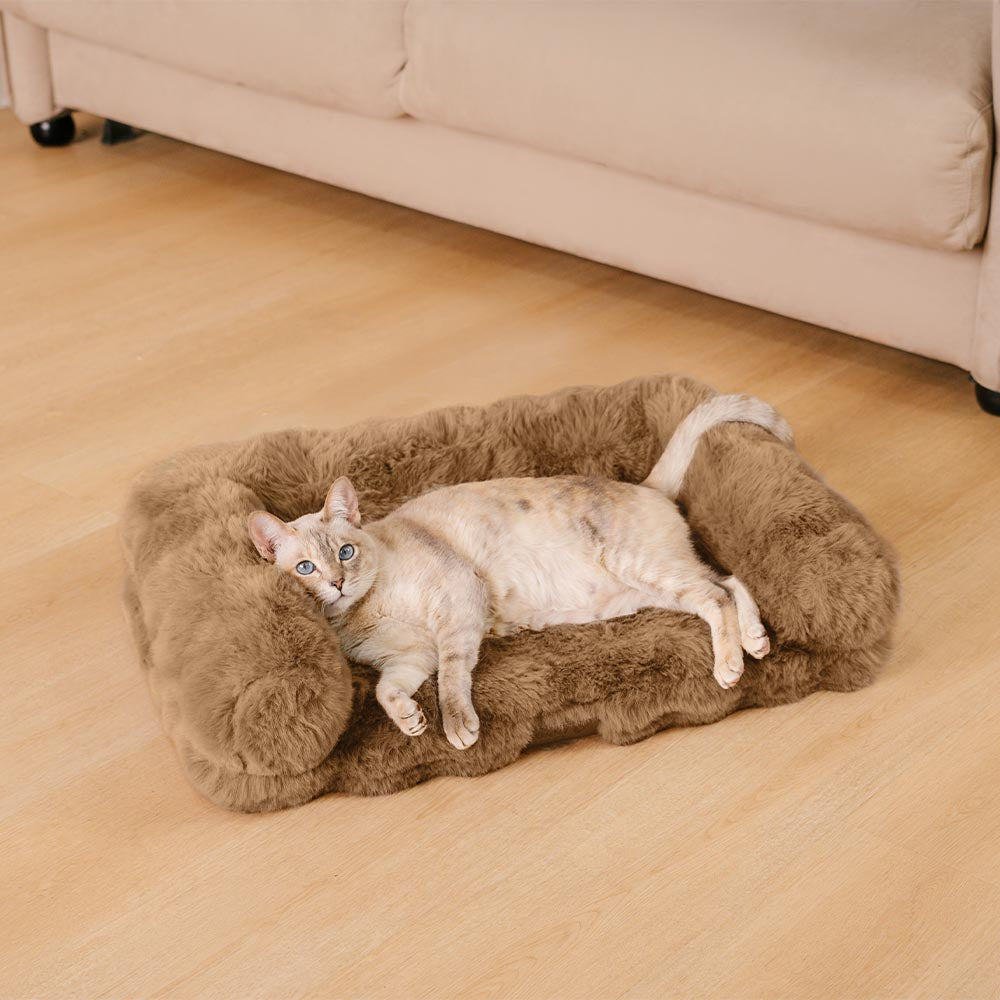 Divano letto per gatti fluffy, in peluche, spessito, accogliente e calmante.
