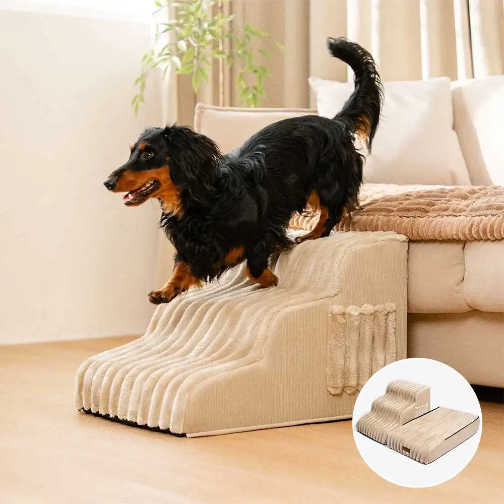 CreamyRamp Scala e Letto per Animali 2-in-1 in Morbido Plush Rimovibile