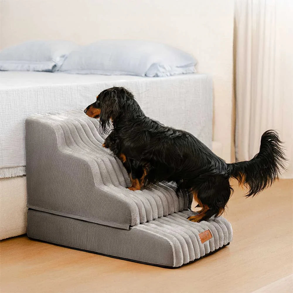 CreamyRamp Scala e Letto per Animali 2-in-1 in Morbido Plush Rimovibile