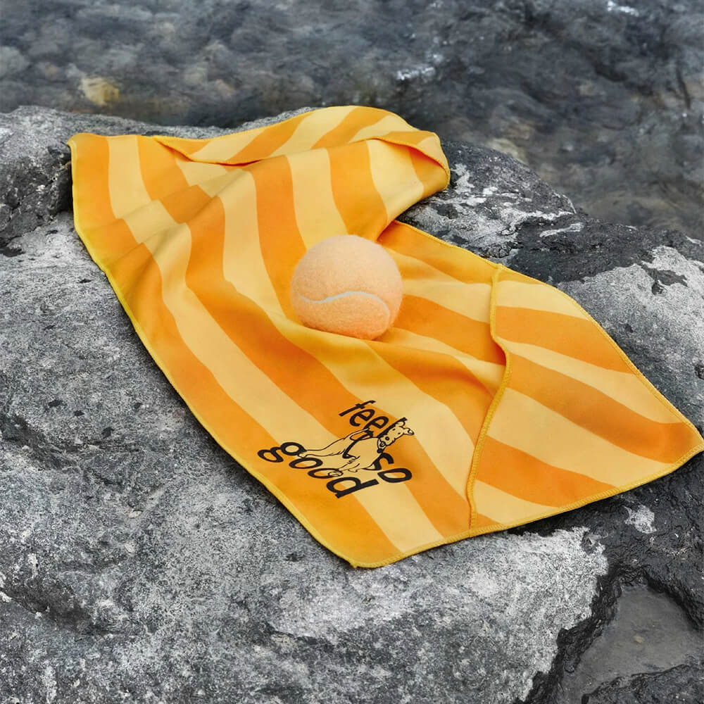 Asciugamano coperta da viaggio per cani ultra assorbente, leggero e ad asciugatura rapida