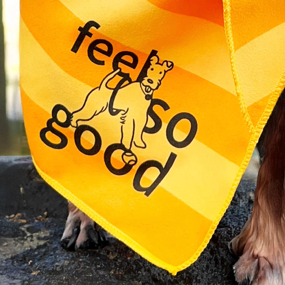 Asciugamano coperta da viaggio per cani ultra assorbente, leggero e ad asciugatura rapida