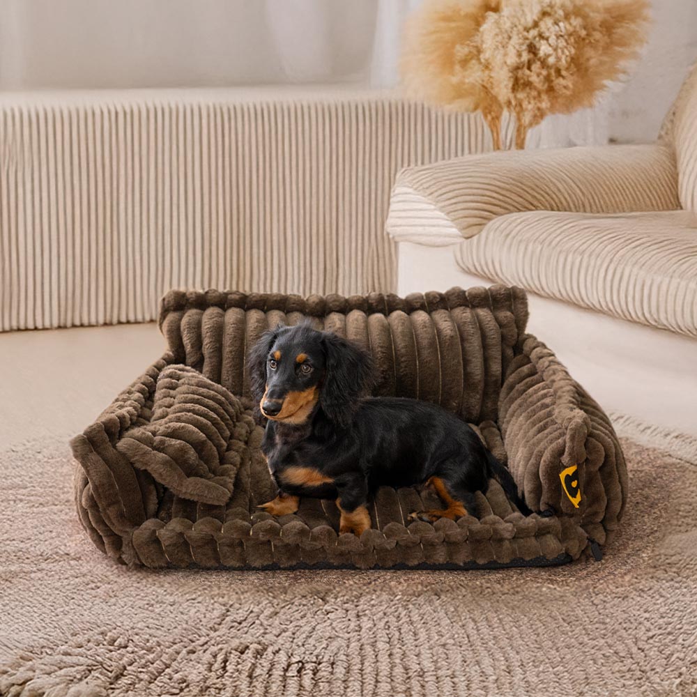 Cuscino ortopedico morbido e lavabile per cani, letto in sofà per cani - Snoozy Dream