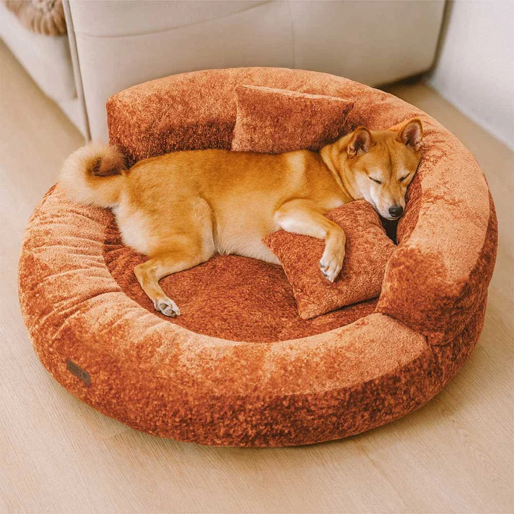 DreamNest – Letto ortopedico a ciambella in velluto con diamanti