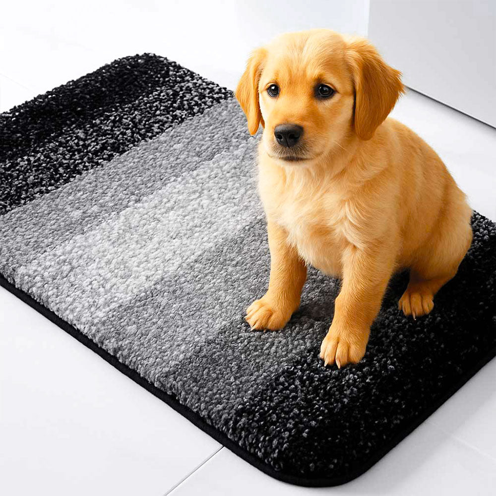 Tappeto per porte spesso, assorbente, antiscivolo e ad asciugatura rapida per animali domestici e zampe fangose