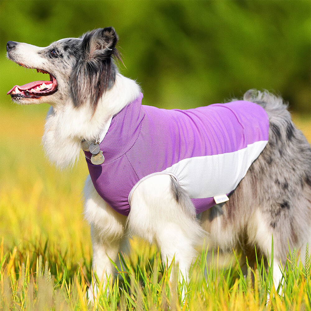 Pet Dog Clothes Outdoor Contrast Color Sun Hat & Cooling Sun Tank Vest
