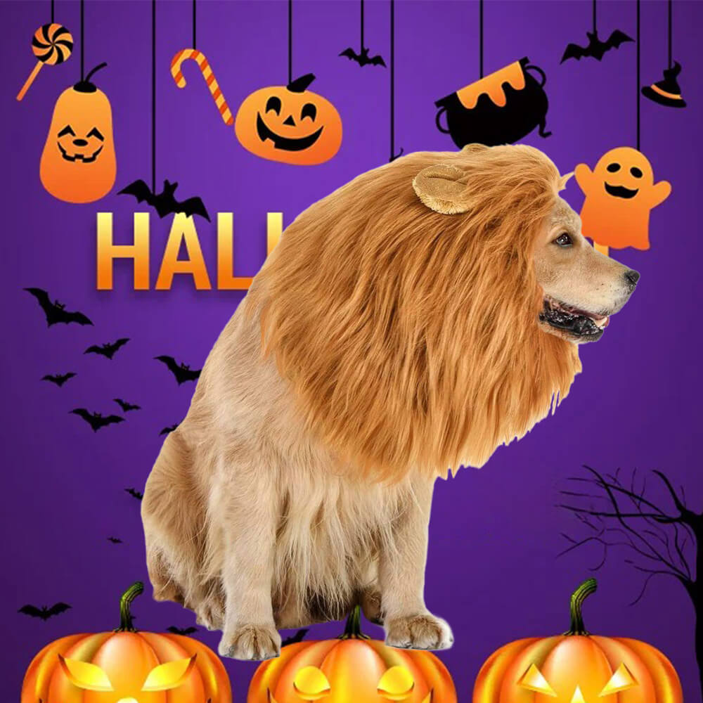 Costume da cane con criniera di leone – Perfetto per Halloween e occasioni divertenti