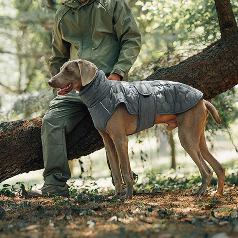 Gesteppte Outdoor-Hundeweste – warm und langlebig für Wanderungen und Abenteuer