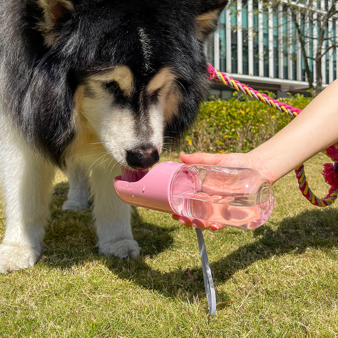 Bottiglia d'acqua portatile per cani da esterno