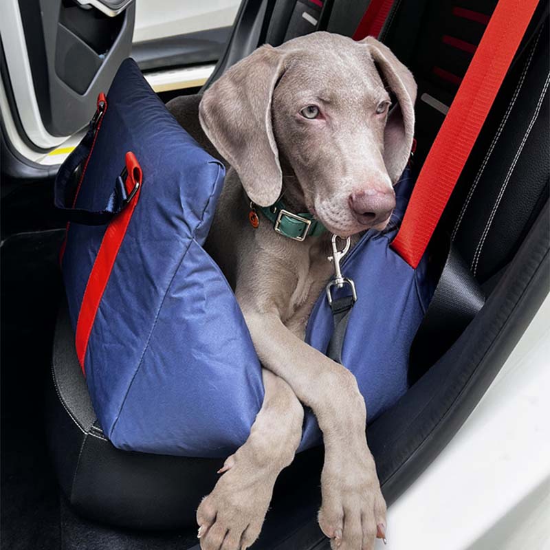 Seggiolino auto anteriore per animali domestici in tessuto Oxford Letto rimovibile per seggiolino auto per cani