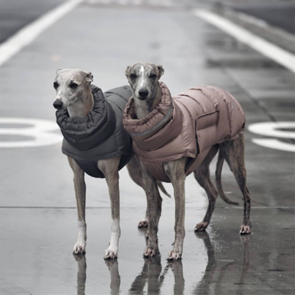 Gilet caldo impermeabile e antivento: il massimo del calore e dello stile invernali