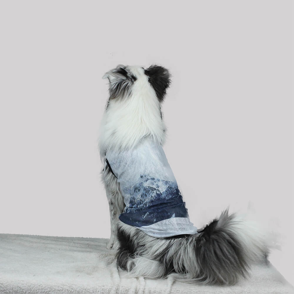 Spring Thin Mesh Floral Print Pet Sunscreen Anti-Shedding Breathable Pet Clothes