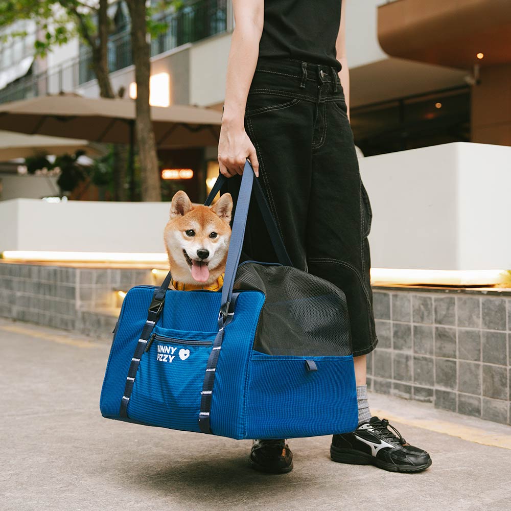 Seggiolino Auto Booster per Cani Sicuro Impermeabile e Trasportino per Animali - Gympet